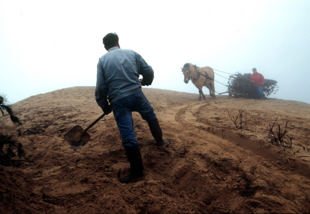 Klitfoged, reportage